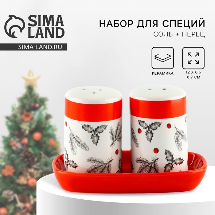 Новый год. Набор для специй керамический &laquo;Рождественский!&raquo;, 12х6.5х7 см, цвет белый