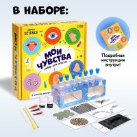 Набор для опытов &laquo;Мои чувства&raquo;