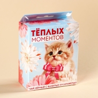 Чай чёрный со вкусом ваниль и карамель &laquo;Тёплых моментов&raquo; с европодвесом, 50 г.