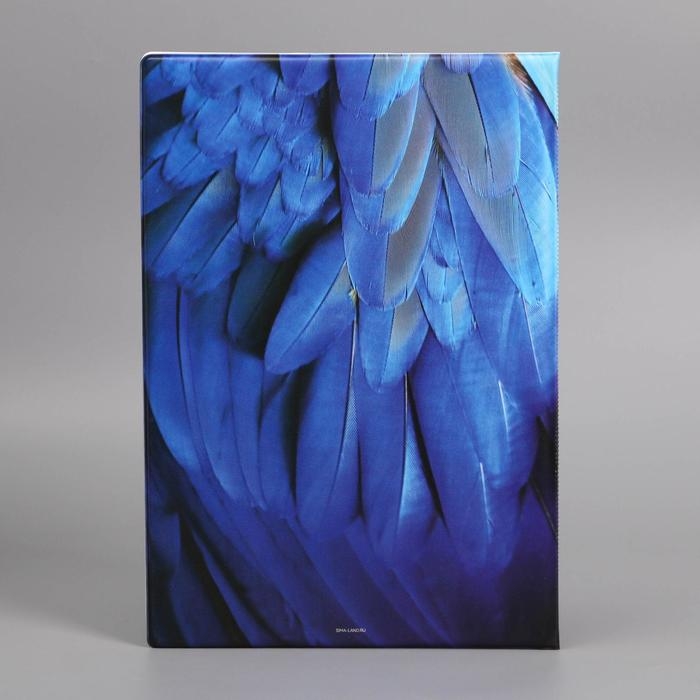 Папка для семейных документов «Docs», 8 файлов А4 Папка для семейных документов «Docs», 8 файлов А4