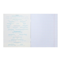 Тетрадь предметная "Тетрадочка", 48 листов в клетку "Физика", обложка мелованный картон, выборочный лак, со справочным материалом Тетрадь предметная "Тетрадочка", 48 листов в клетку "Физика", обложка мелованный картон, выборочный лак, со справочным материалом