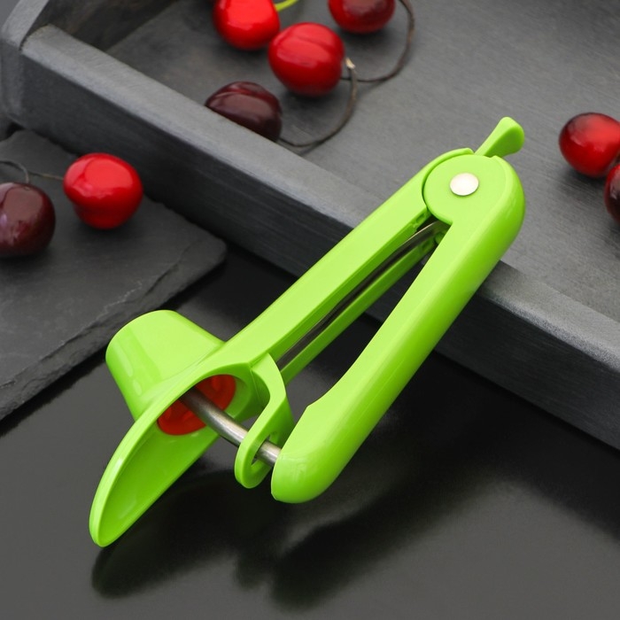 Удалитель косточки Доляна &laquo;Эдда&raquo;, 20 см, цвет зелёный