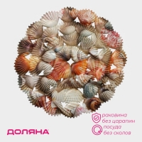 Решётка в раковину круглая Доляна «Ракушки», 28×28 см Решётка в раковину круглая Доляна «Ракушки», 28×28 см