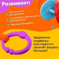 Развивающая подвеска &laquo;Зебра&raquo;