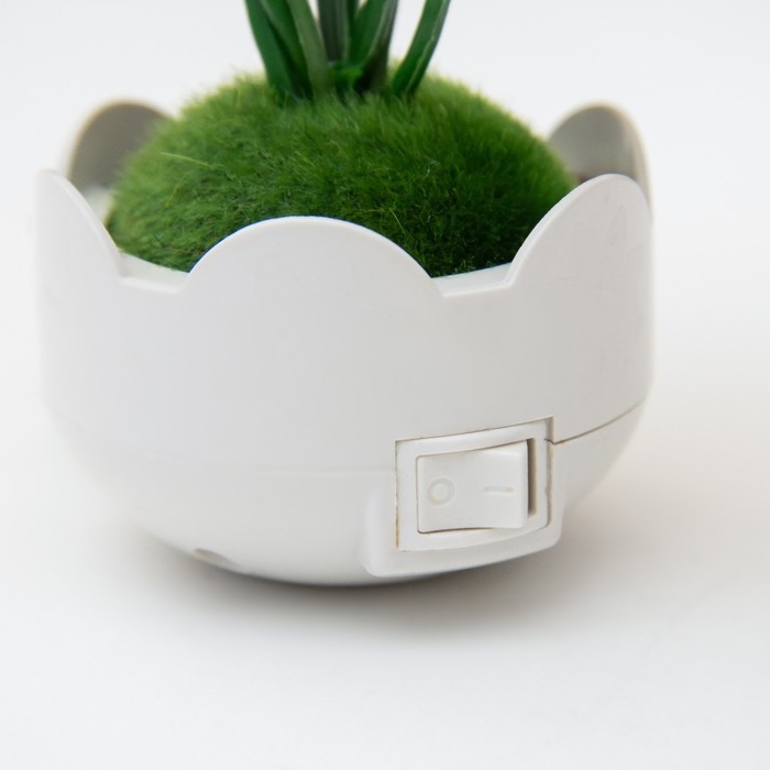 Ночник Ночник "Цветы" LED RGB 5х8х12 см RISALUX