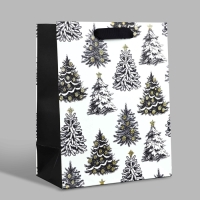Пакет подарочный новогодний ламинированный &laquo;Зимняя сказка&raquo;, MS 23 x 18 х 10 см