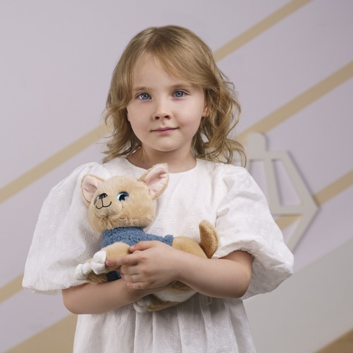 Мягкая игрушка «Собака в будке» Мягкая игрушка «Собака в будке»