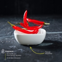 Соусник фарфоровый &laquo;Классика&raquo;, 150 мл, 10&times;3,5 см, цвет белый