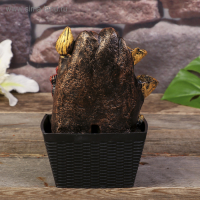 Фонтан настольный от сети, подсветка "Бронзовый Ганеша и лотосы" 22х13х13 см Фонтан настольный от сети, подсветка "Бронзовый Ганеша и лотосы" 22х13х13 см