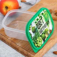 Ланч-бокс &laquo;Цвет настроения зелёный&raquo;, 0.5 л