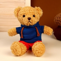 Мягкая игрушка &laquo;Мишка в кофточке&raquo;, цвета МИКС