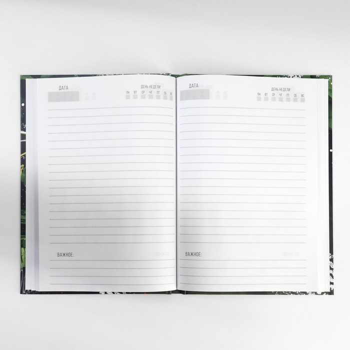 Подарочный набор: ежедневник А5, 80 листов и планинг, 50 л. «Сильному духом» Подарочный набор: ежедневник А5, 80 листов и планинг, 50 л. «Сильному духом»