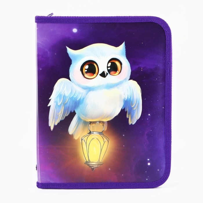 Набор первоклассника в папке для тетрадей 25 предметов &laquo;1 сентября: Папка отличника. Сова&raquo;