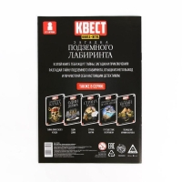 Книга-квест &laquo;Загадка подземного лабиринта&raquo; версия 2, 8+
