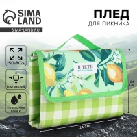 Плед для пикника &laquo;Цвети от счастья&raquo;, 150 х 80 см