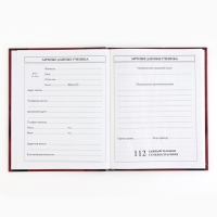 Дневник школьный 5-11 класс, в твердой обложке, 48 л. &laquo;Патриотический&raquo;