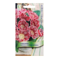 Семена цветов Глоксиния "Импресс Красные чернила", 5 шт. Семена цветов Глоксиния "Импресс Красные чернила", 5 шт.