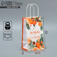 Пакет подарочный новогодний крафтовый &laquo;Новогодний цитрус&raquo;, 12 х 21 х 9 см, Новый год