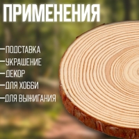 Деревянный декор «Спил дерева. Сосна», размер: от 13 до 14 см Деревянный декор «Спил дерева. Сосна», размер: от 13 до 14 см