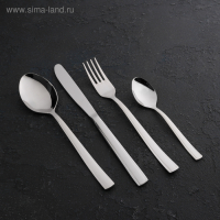 Набор столовый &laquo;Торжество&raquo;, толщина 2 мм, декоративная коробка, 48 предметов, цвет серебряный