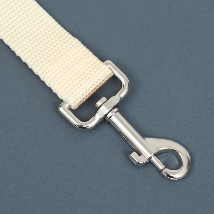 Поводок 2 м х 2,5 см, бежевый Поводок 2 м х 2,5 см, бежевый