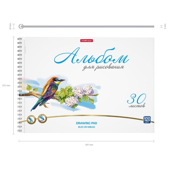 Альбом для рисования А4, 30 листов, блок 120 г/м&sup2;, на спирали, Erich Krause "Birds", 100% белизна, перфорация на отрыв, твердая подложка