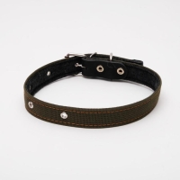 Ошейник брезентовый на фетре, 64 х 3 см, ОШ 30-55 см, тёмно-зелёный Ошейник брезентовый на фетре, 64 х 3 см, ОШ 30-55 см, тёмно-зелёный