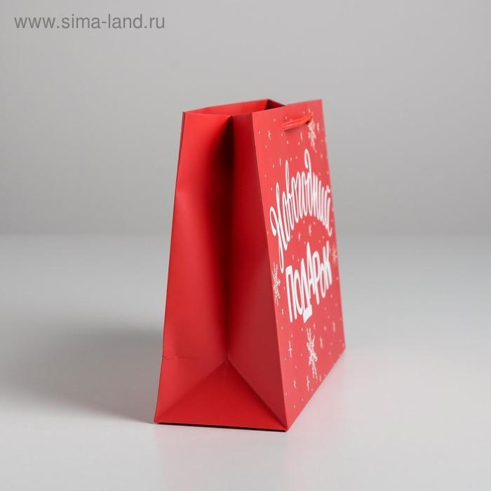 Пакет ламинированный горизонтальный &laquo;Новогодний подарок&raquo;, MS 23 х 18 х 8 см, Новый год