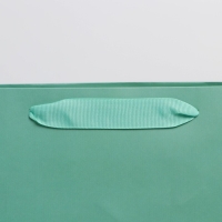 Пакет подарочный ламинированный, упаковка, &laquo;Тиффани&raquo;, ML 23 х 27 х 11.5 см