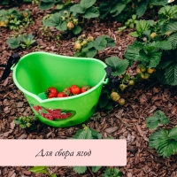 Ёмкость для сбора ягод, 3 л, «Малина» Ёмкость для сбора ягод, 3 л, «Малина»