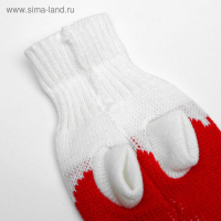 Свитер, размер 8 (26-30 см), микс расцветок