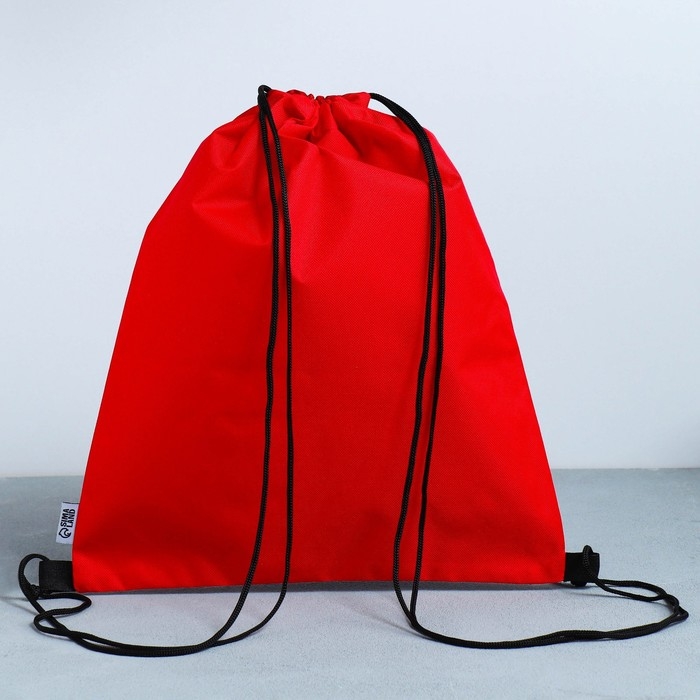 Мешок для обуви со светоотражающим элементом &laquo;Гоночная тачка&raquo; 30 х 40 см