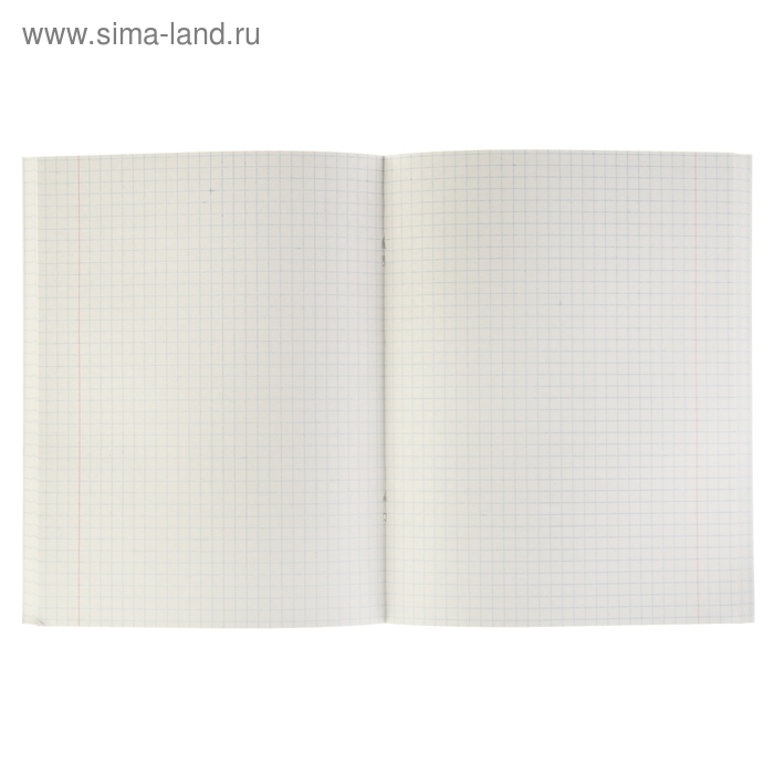 Тетрадь 96 листов в клетку Тетрадь 96 листов в клетку "Зелёная", обложка бумвинил