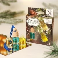 Ароматизаторы в машину &laquo;Крепость и выдержка&raquo;, черный лёд, зимняя свежесть, мандарин (набор 3 шт)