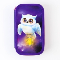 Пенал школьный 2 секции 190 х 105 лам.кар ПО-090 &laquo;1 сентября: Совушка&raquo;