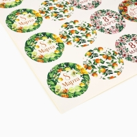 Набор наклеек для подарков «8 марта» цветы и фрукты, 40 шт, 4 х 4 см Набор наклеек для подарков «8 марта» цветы и фрукты, 40 шт, 4 х 4 см