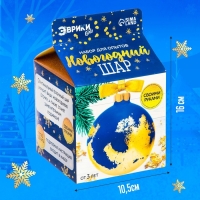 Набор для опытов &laquo;Новогодний шар&raquo;, ёлочная игрушка, диаметр 10 см