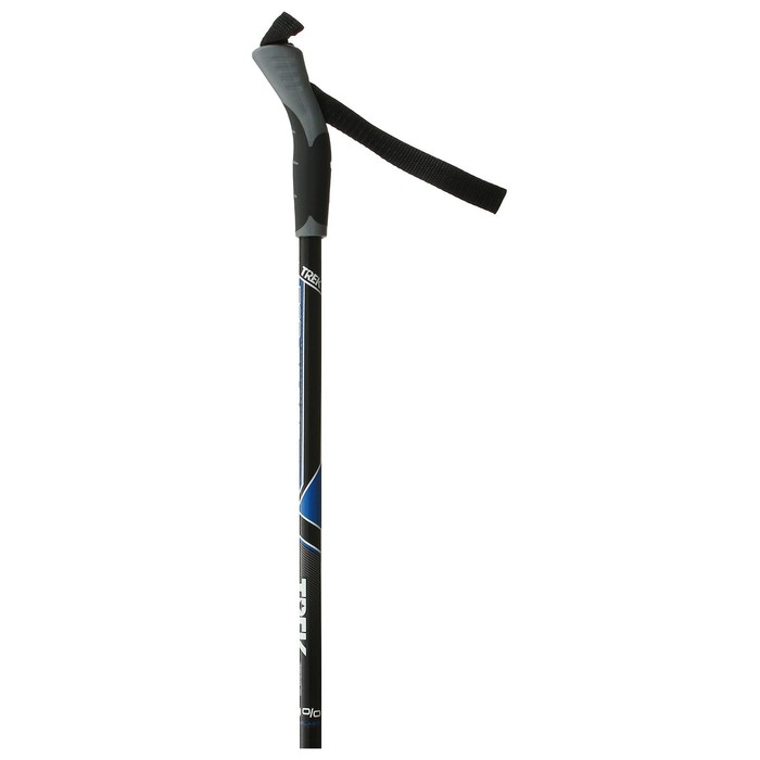 Комплект лыжный: пластиковые лыжи 160 см с насечкой, стеклопластиковые палки 120 см, крепления SNS, цвета МИКС Комплект лыжный: пластиковые лыжи 160 см с насечкой, стеклопластиковые палки 120 см, крепления SNS, цвета МИКС