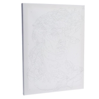 Картина по номерам на холсте с подрамником &laquo;Давид&raquo;, 30х40 см