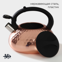 Чайник со свистком из нержавеющей стали Magistro Glow, 3 л, индукция, ручка soft-touch, цвет бронзовый Чайник со свистком из нержавеющей стали Magistro Glow, 3 л, индукция, ручка soft-touch, цвет бронзовый