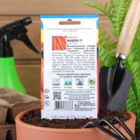 Семена Морковь "Нандрин" F1,0,2 гр Семена Морковь "Нандрин" F1,0,2 гр