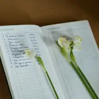 Ежедневник Nubuk, недатированный, темно-серый