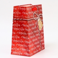 Пакет ламинированный &laquo;С новым годом!&raquo;, MS 18 &times; 23 &times; 10 см