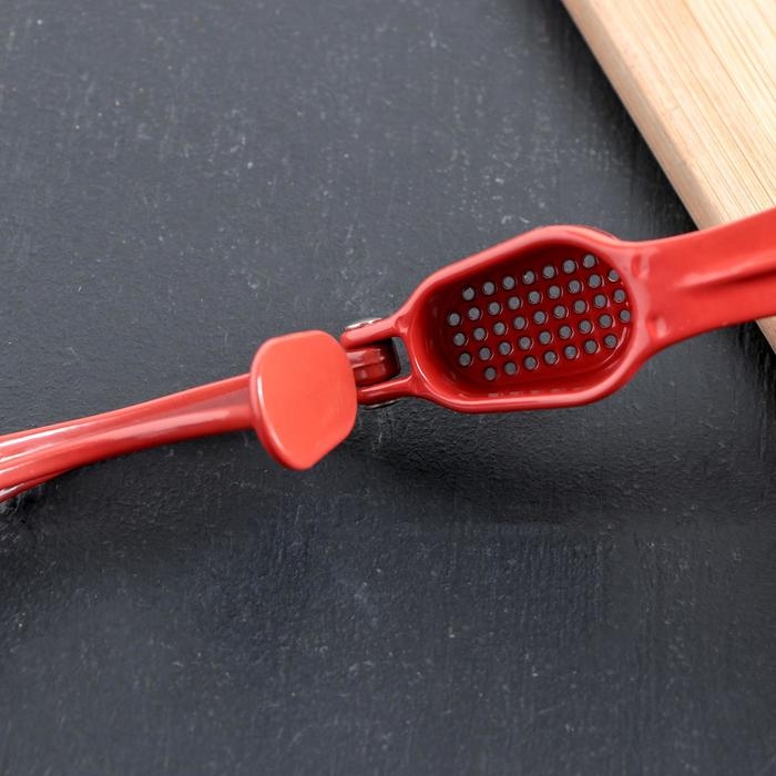 Пресс для чеснока Доляна &laquo;Краски&raquo;, 16 см, цвет МИКС