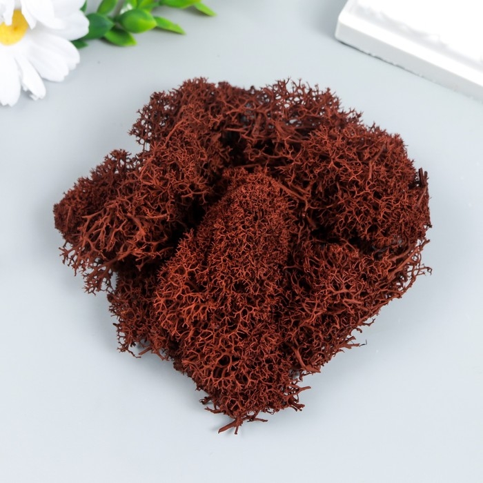 Мох стабилизированный Мох стабилизированный "Коричневый" 45 гр (+-5 гр).