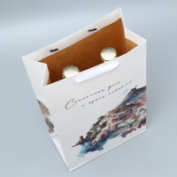 Пакет подарочный под две бутылки, упаковка, «Яркие события», 35 х 20 х 9 см Пакет подарочный под две бутылки, упаковка, «Яркие события», 35 х 20 х 9 см