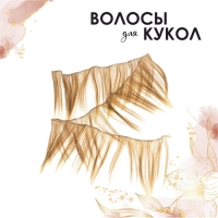 Волосы - тресс для кукол «Прямые» длина волос: 15 см, ширина: 100 см, №LSA051 Волосы - тресс для кукол «Прямые» длина волос: 15 см, ширина: 100 см, №LSA051