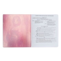 Тетрадь предметная ЛИТЕРАТУРА, 48 листов в линейку, ErichKrause Manga, обложка мелованный картон, твин-лак, блок офсет 100% белизна, инфо-блок Тетрадь предметная ЛИТЕРАТУРА, 48 листов в линейку, ErichKrause Manga, обложка мелованный картон, твин-лак, блок офсет 100% белизна, инфо-блок