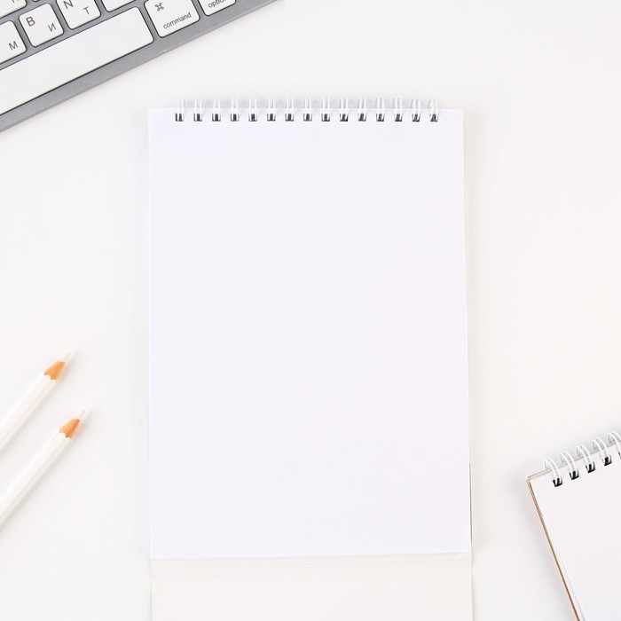 Подарочный набор &laquo;Учителю: Учитель всегда прав&raquo;: блокнот А5, 40 л. и ручка