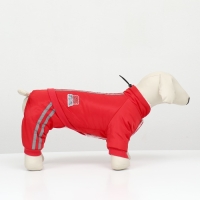 Комбинезон "Спорт" с светоотрожающими полосами, размер L (ДС 35, ОГ 45, ОШ 35 см), красный Комбинезон "Спорт" с светоотрожающими полосами, размер L (ДС 35, ОГ 45, ОШ 35 см), красный